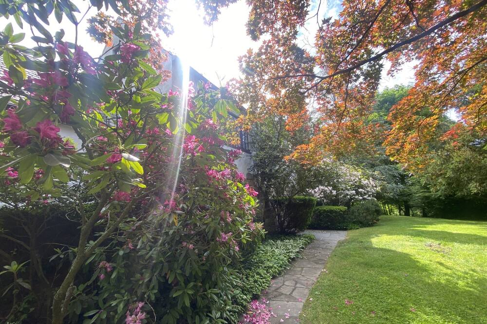Photo of Outdoor in Stamford