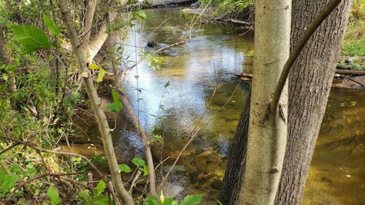 Photo of Outdoor in Brandon