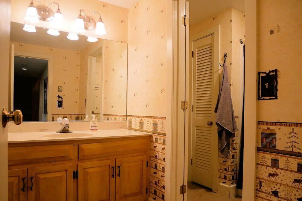Photo of Bathroom in Bromley Mountain