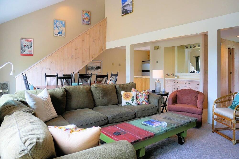 Photo of Livingroom in Bromley Mountain