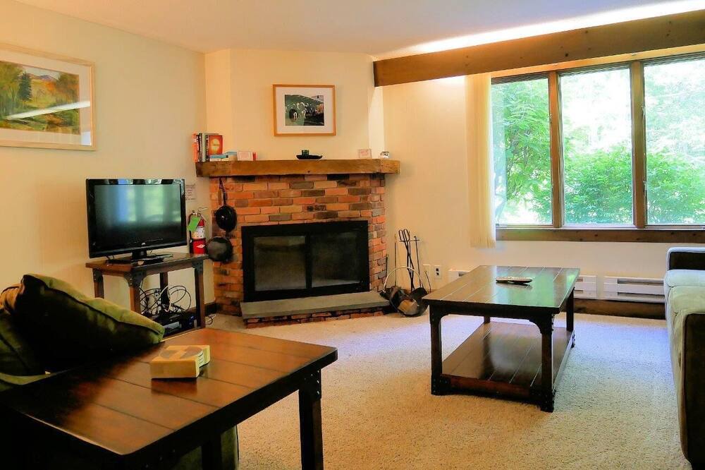 Photo of Livingroom in Bromley Mountain