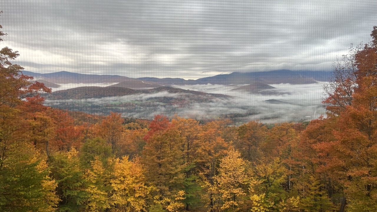Photo of Outdoor in Warren