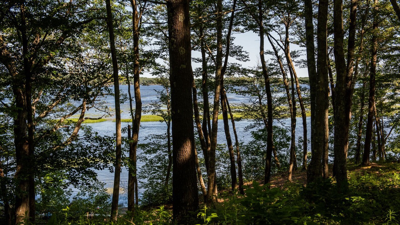 Photo of Outdoor in Bowdoinham