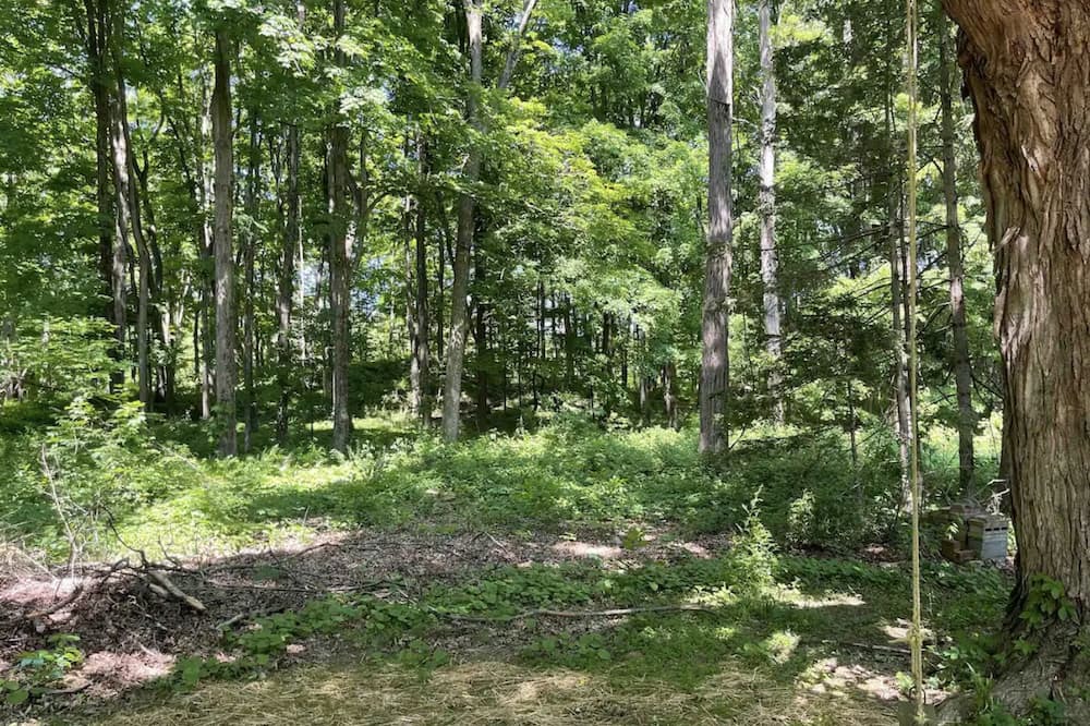 Photo of Outdoor in Rhinebeck