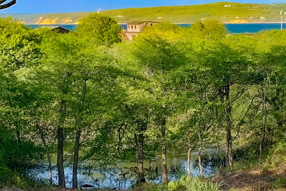 Photo of Others in Aquinnah