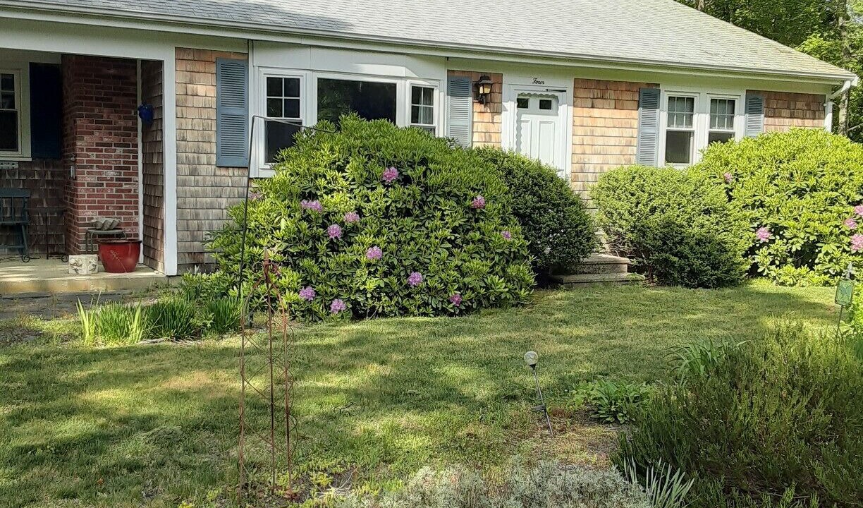 Photo of Outdoor in East Dennis