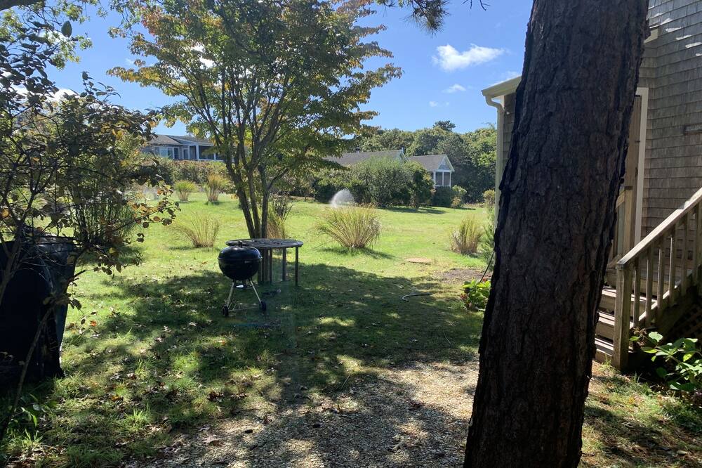 Photo of Outdoor in Menemsha