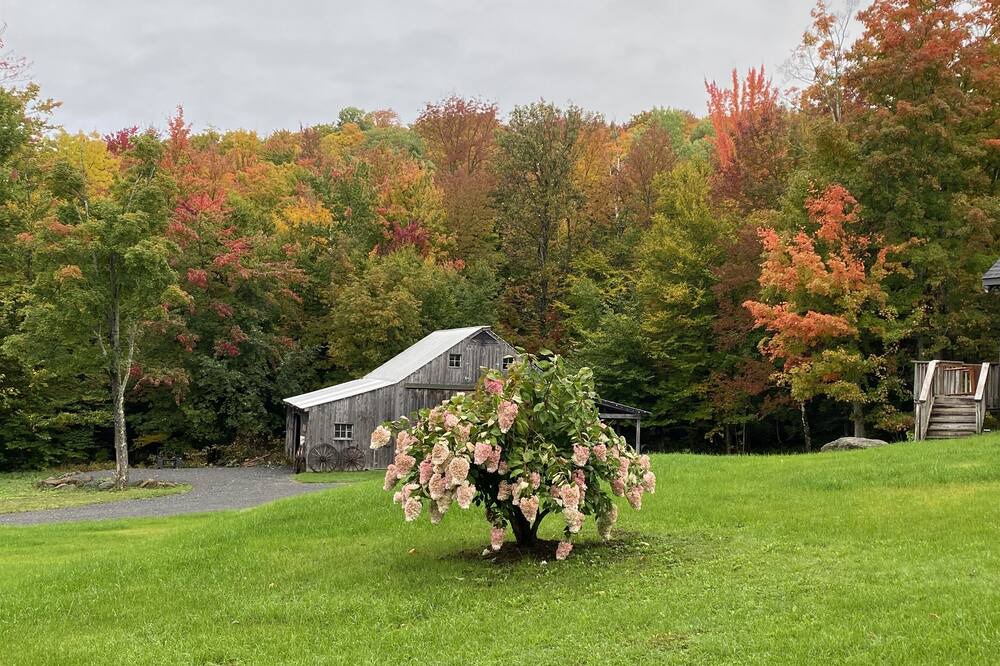 Photo of Outdoor in Stowe Hollow