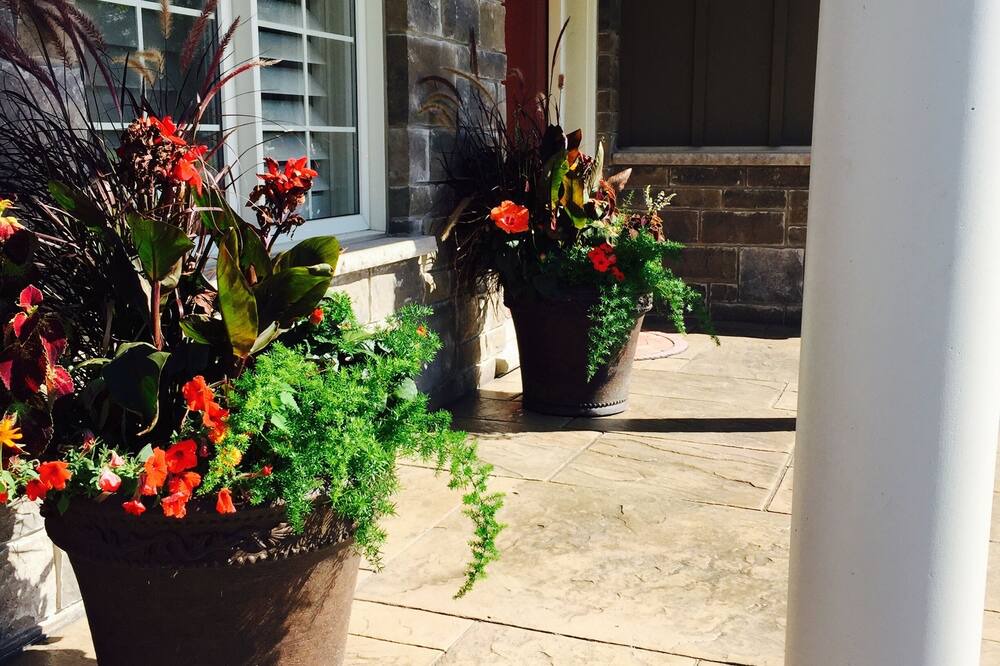 Photo of Outdoor in Virgil