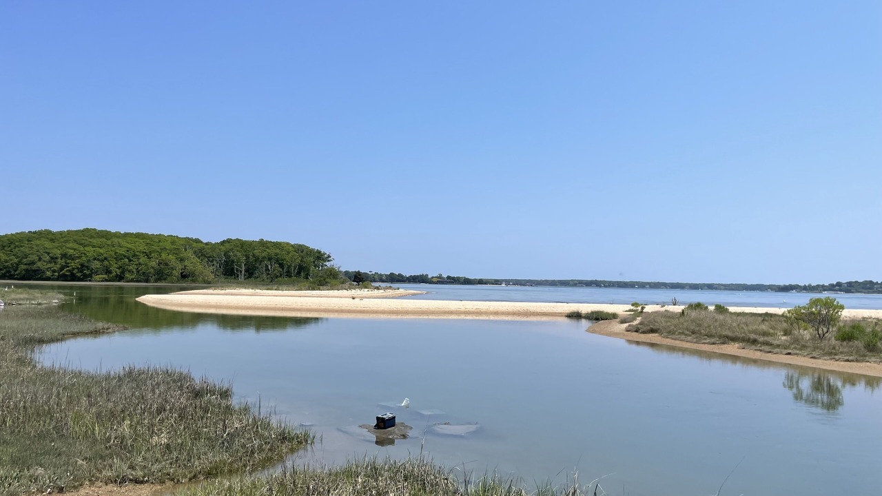 Photo of Others in Greenport West