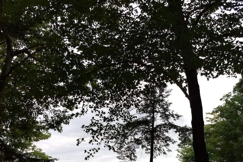 Photo of Others in Center Tuftonboro