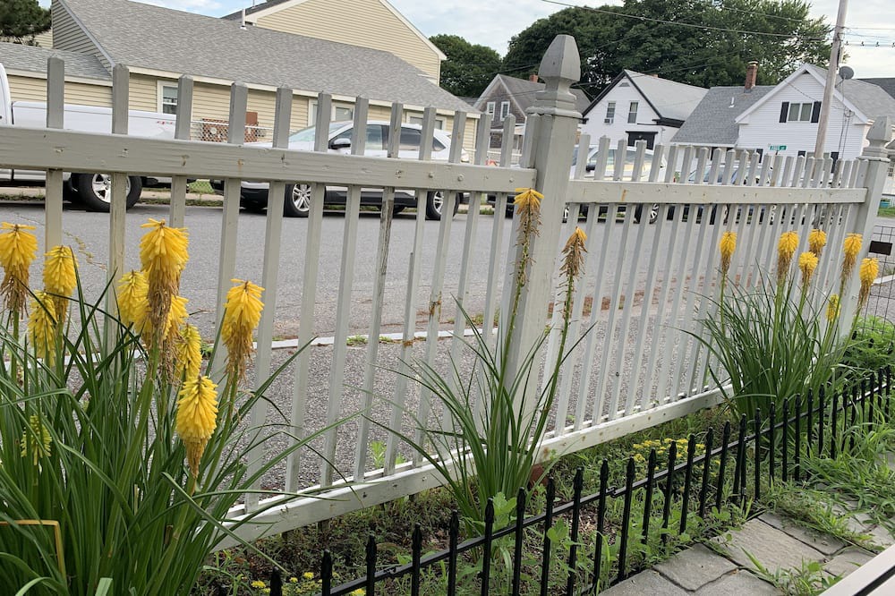 Photo of Outdoor in Ferry Village