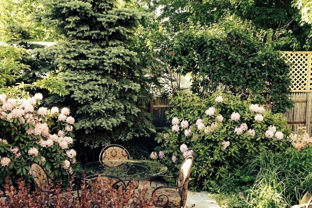 Photo of Outdoor in Ferry Village