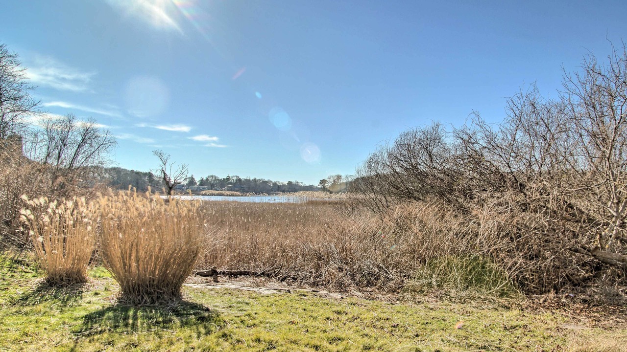 Photo of Others in Hyannis