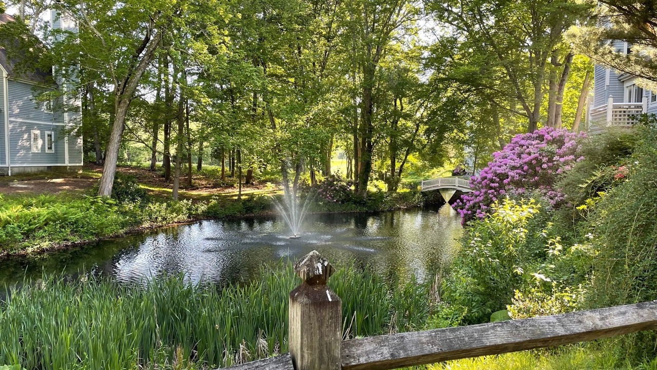 Photo of Outdoor in Norwich