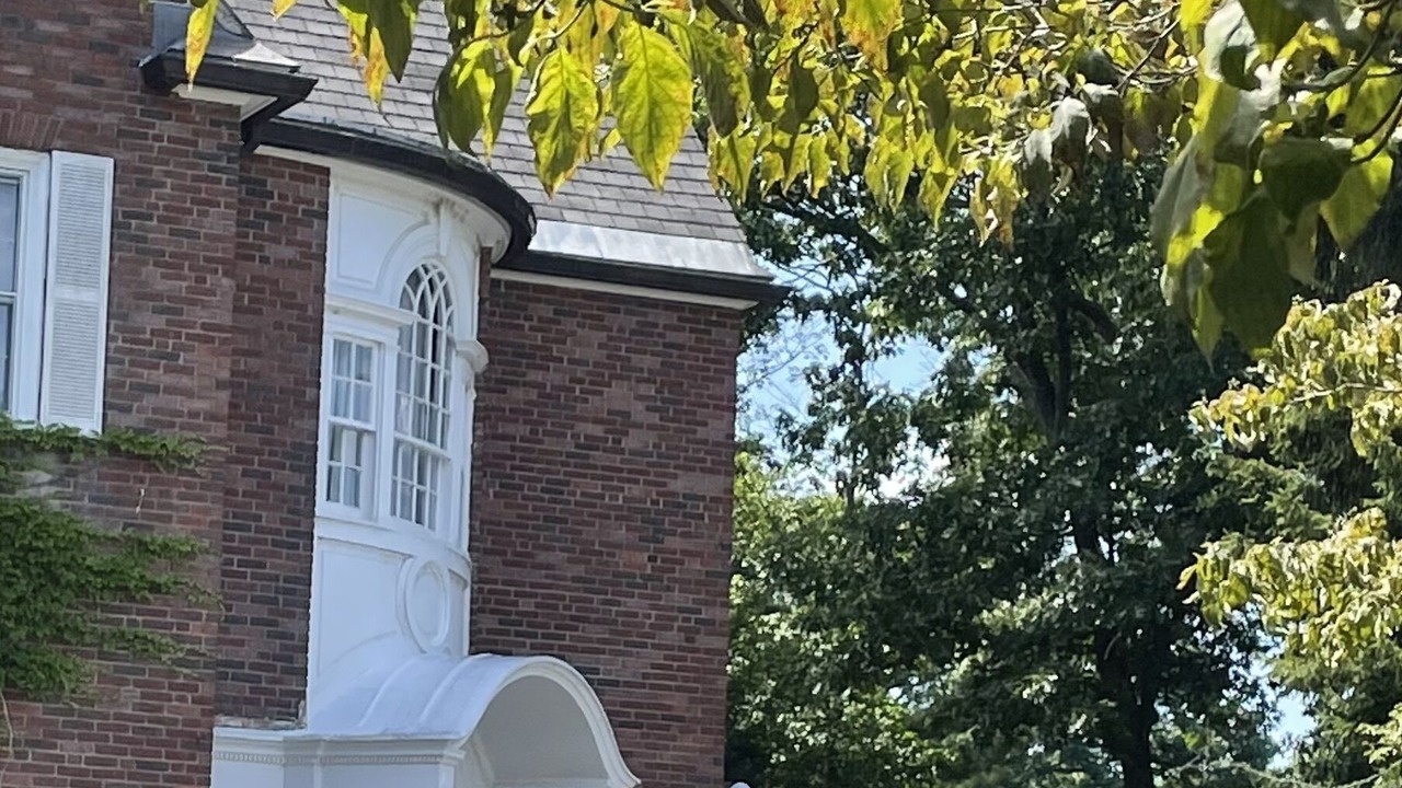 Photo of Others in Norwich