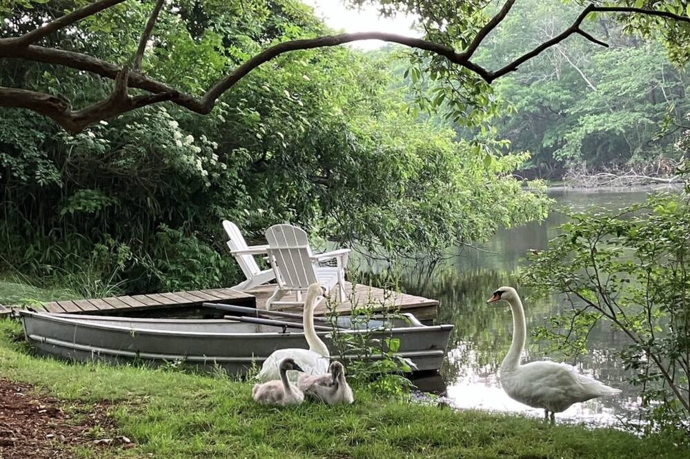 Photo of Outdoor in East Quogue