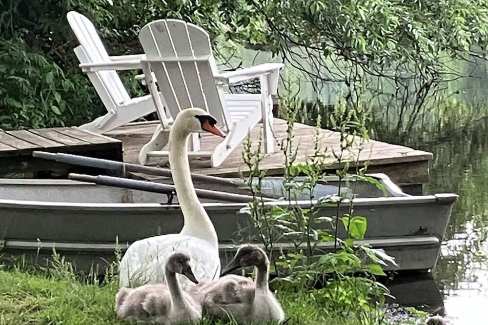 Photo of Outdoor in East Quogue