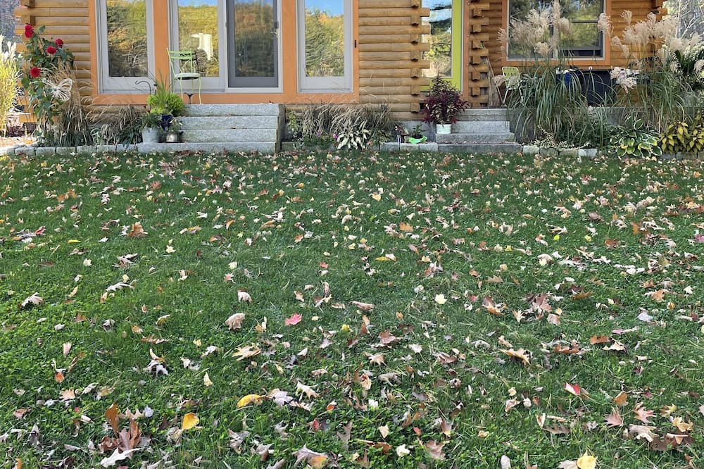 Photo of Outdoor in Lyman
