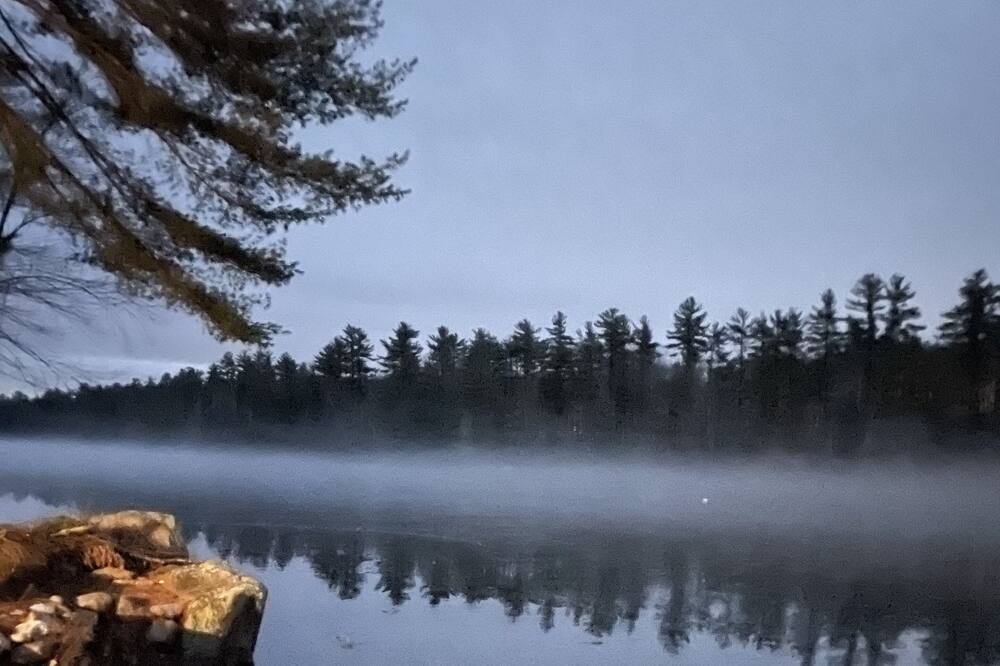 Photo of Outdoor in Lyman