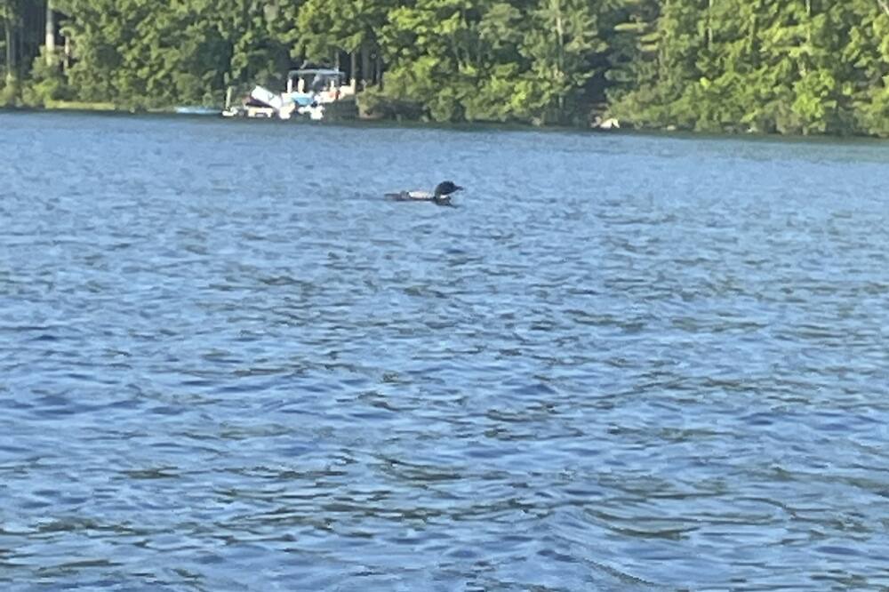 Photo of Others in Lyman