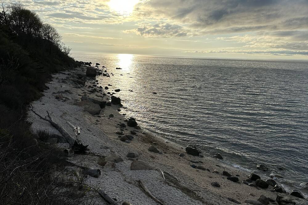 Photo of Others in Greenport West