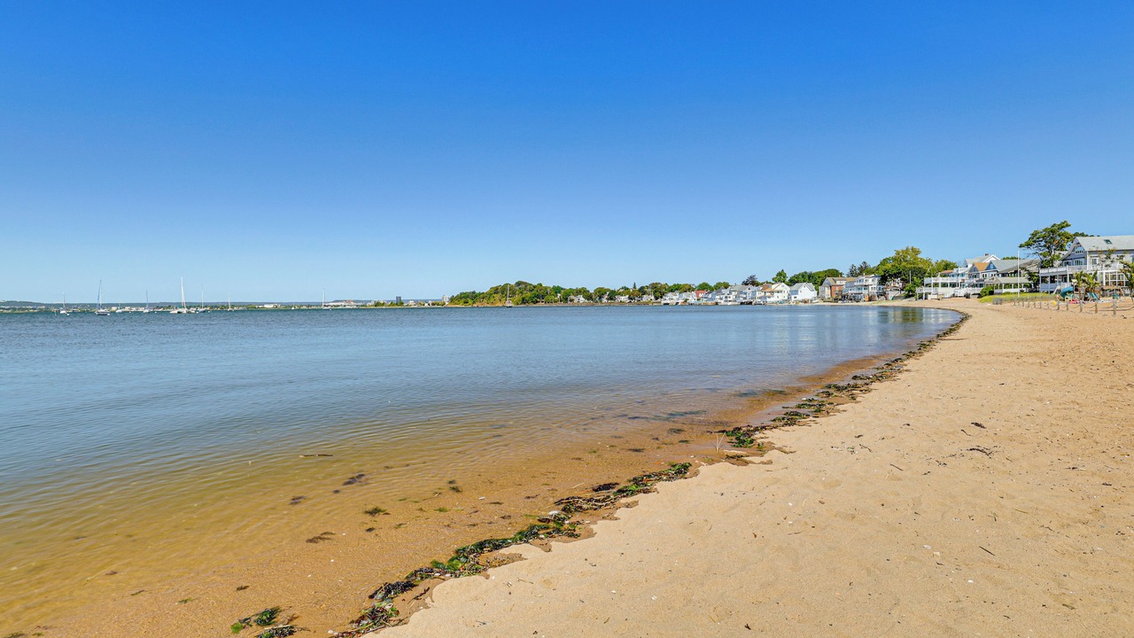 Photo of Others in East Shore