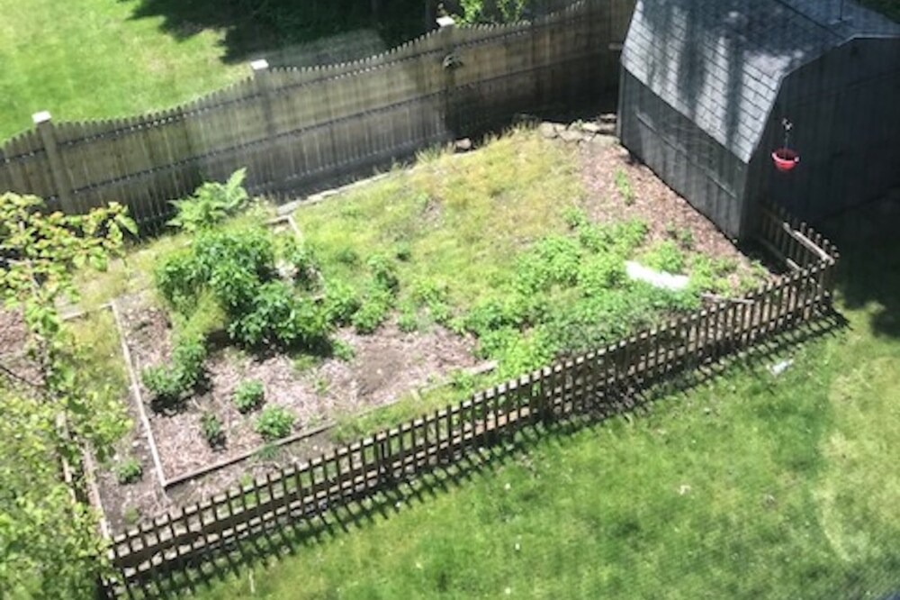 Photo of Outdoor in Greenwich