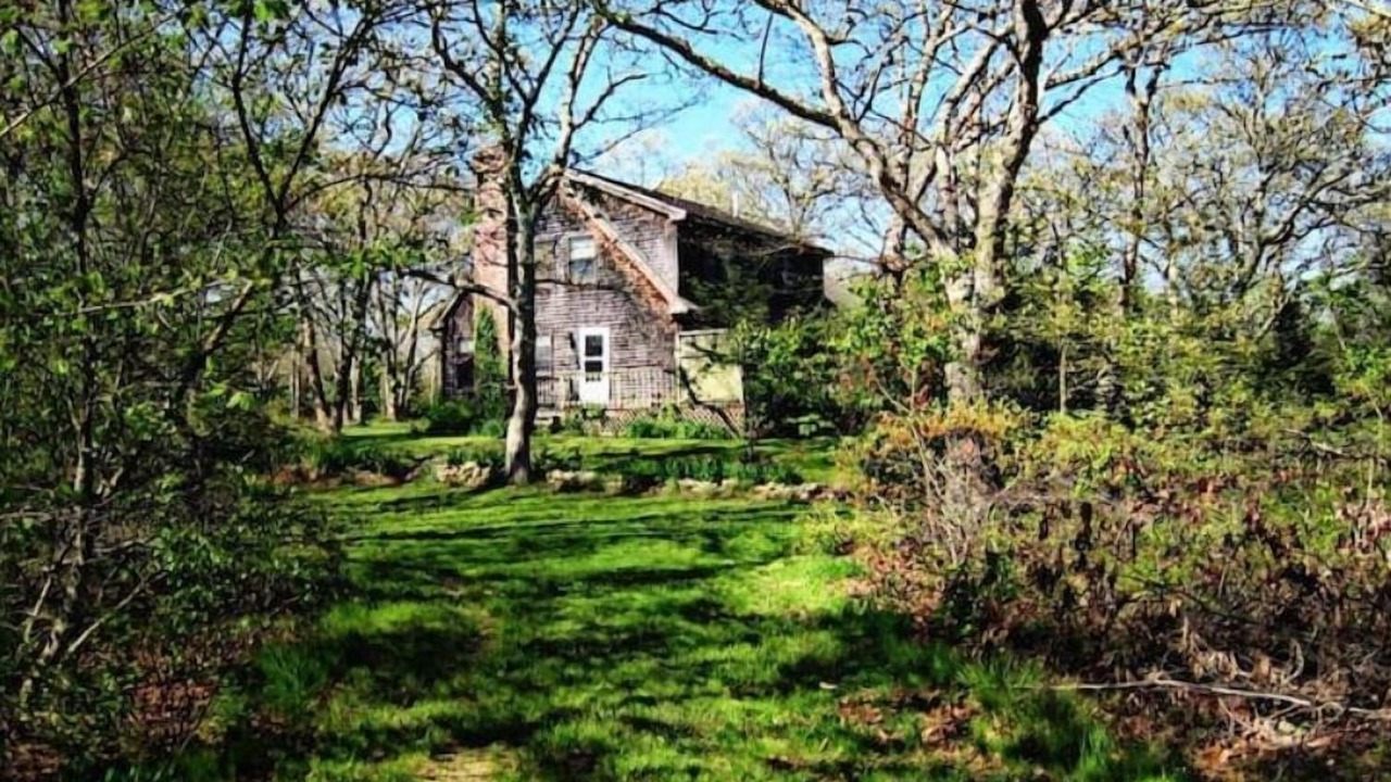 Photo of Outdoor in West Tisbury