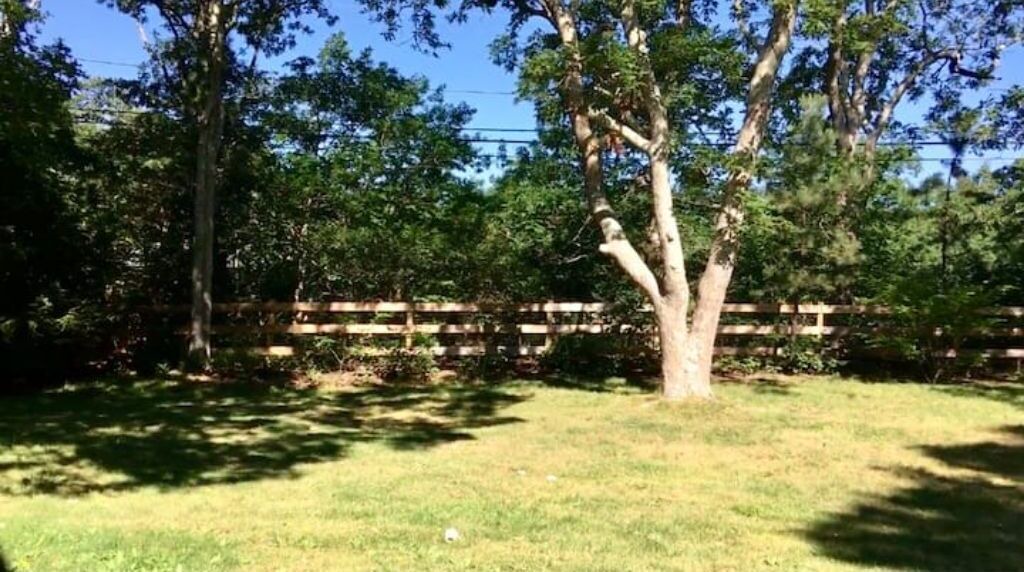 Photo of Outdoor in West Tisbury
