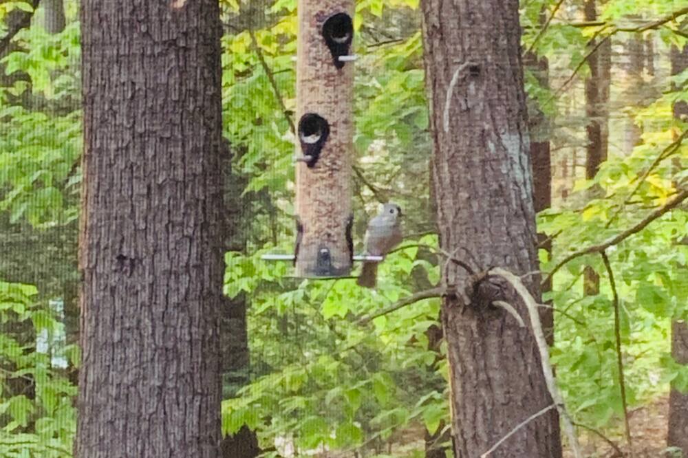 Photo of Outdoor in Bridgton
