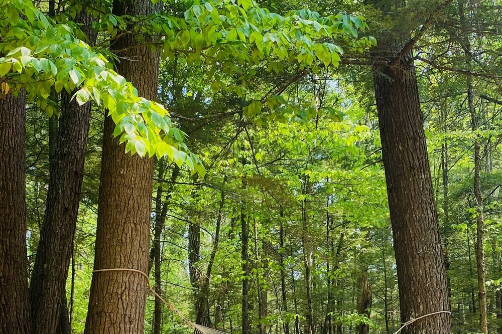 Photo of Outdoor in Bridgton