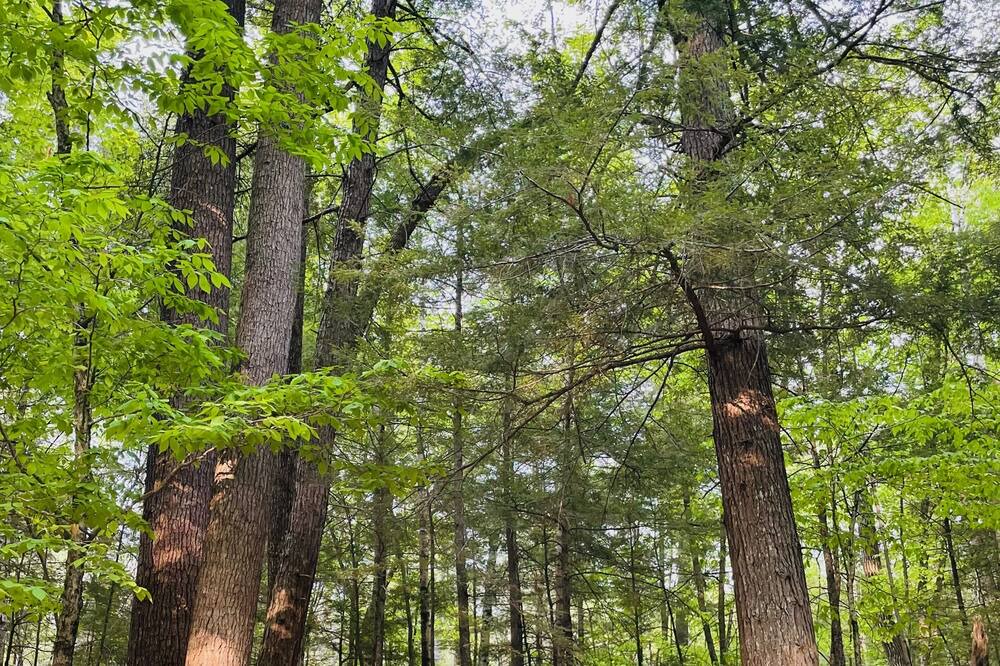 Photo of Outdoor in Bridgton