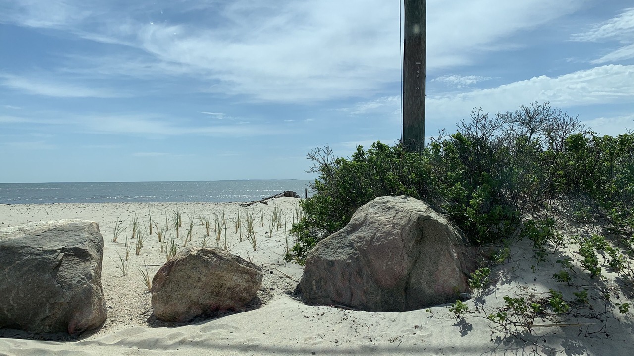 Photo of Others in Westbrook