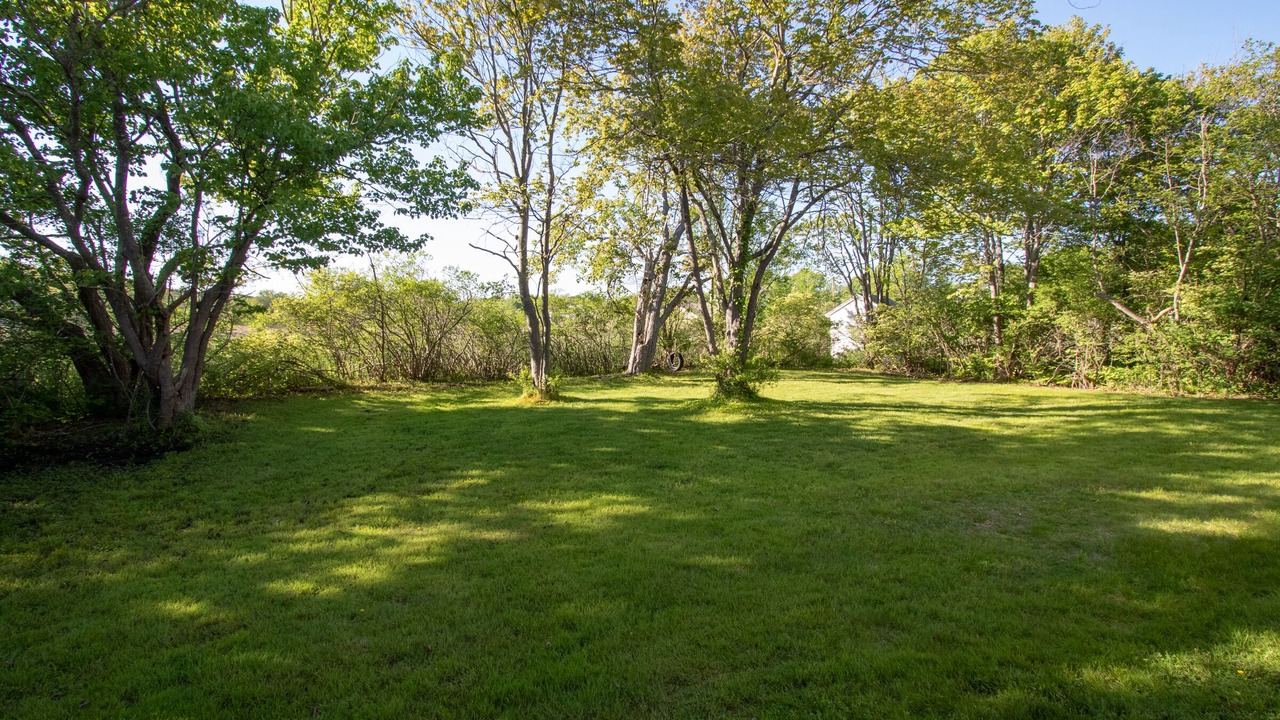 Photo of Outdoor in Rye