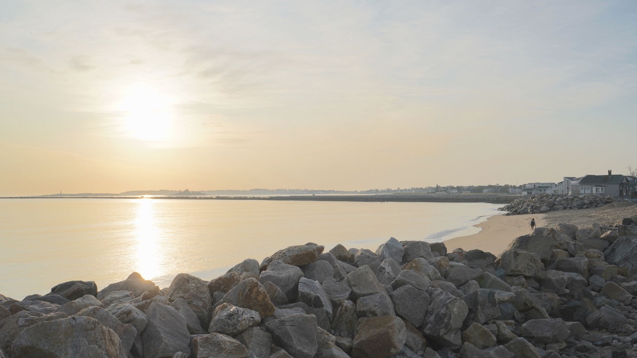 Photo of Others in Camp Ellis