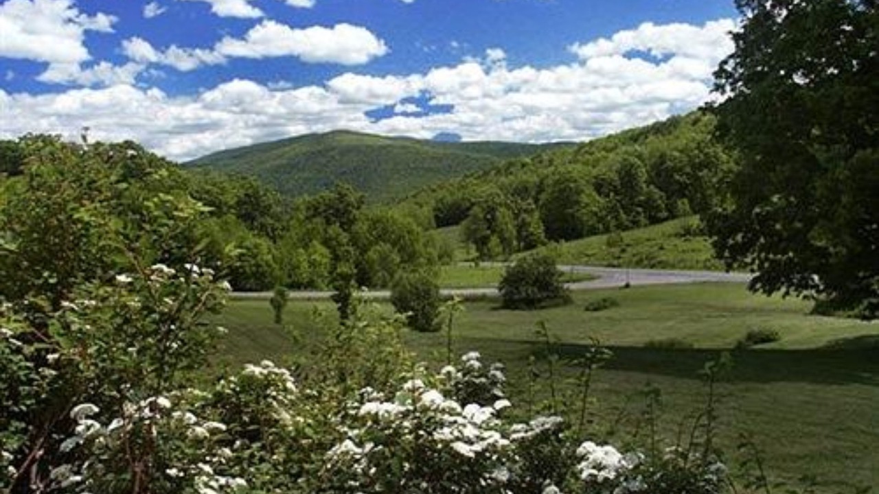 Photo of Outdoor in Margaretville