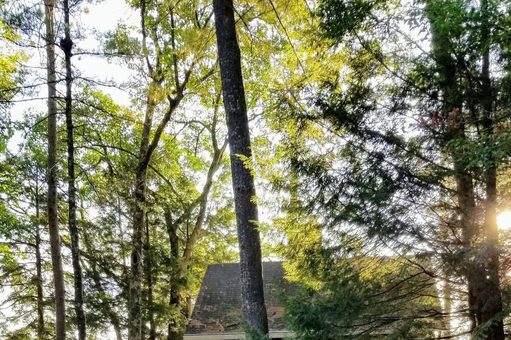 Photo of Outdoor in Laconia