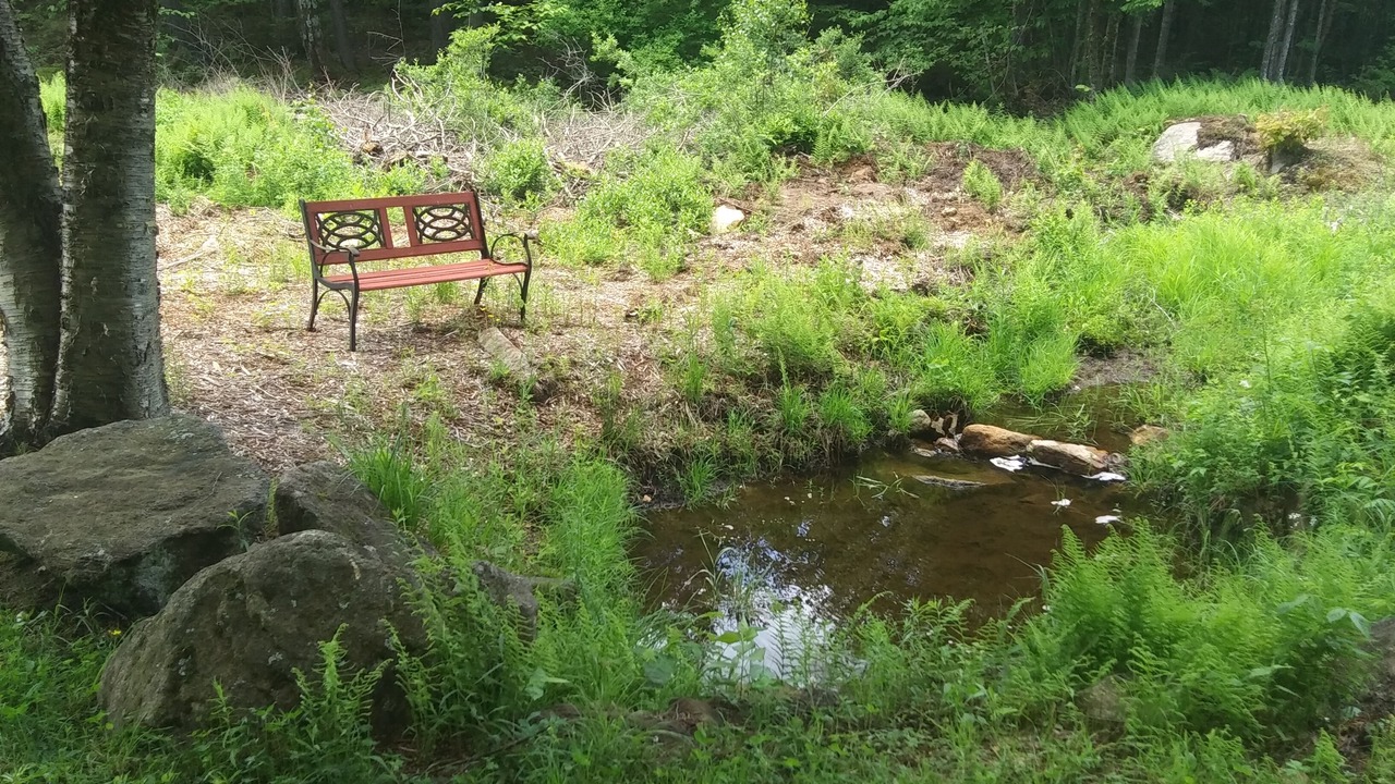 Photo of Outdoor in Washington