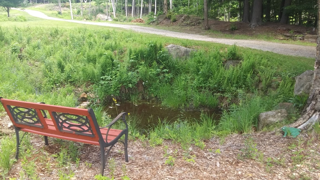 Photo of Outdoor in Washington