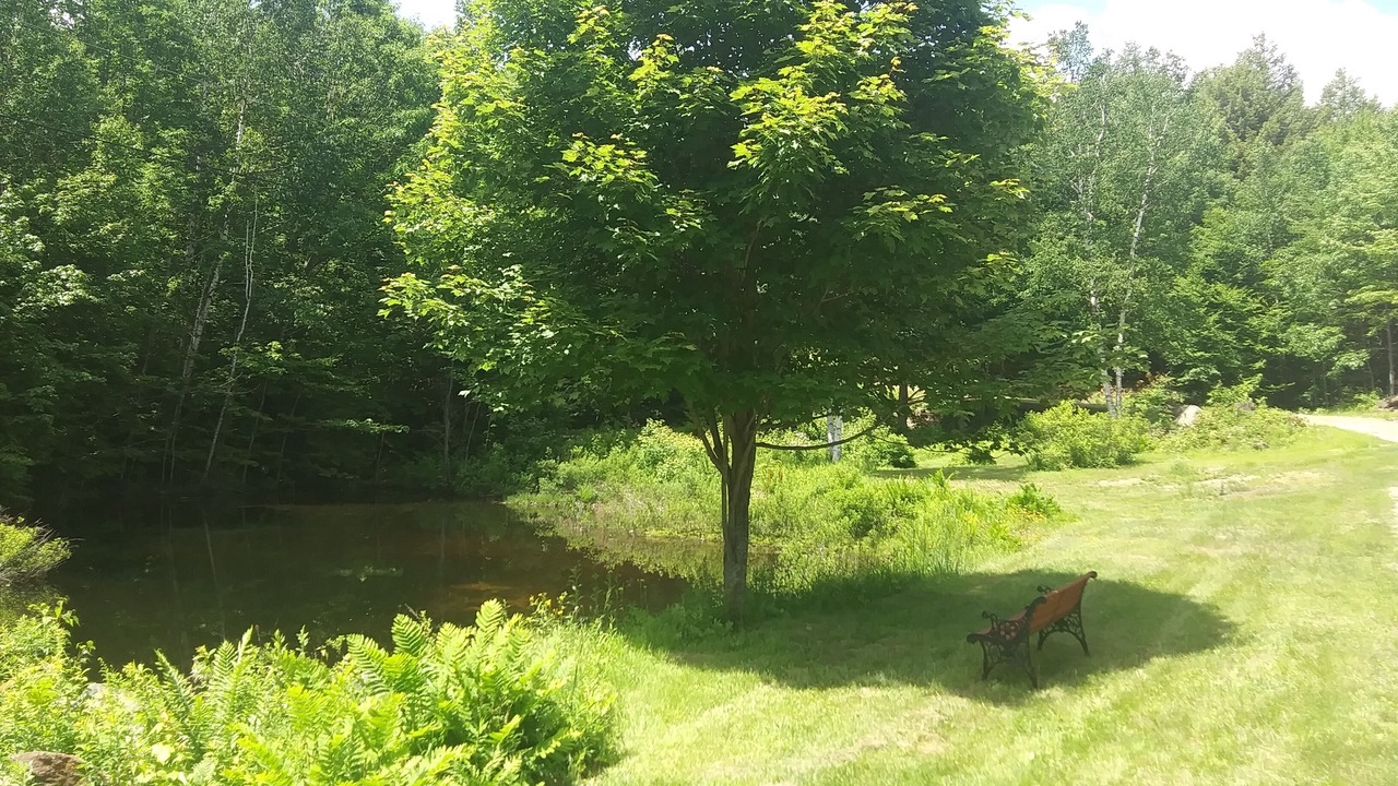 Photo of Outdoor in Washington