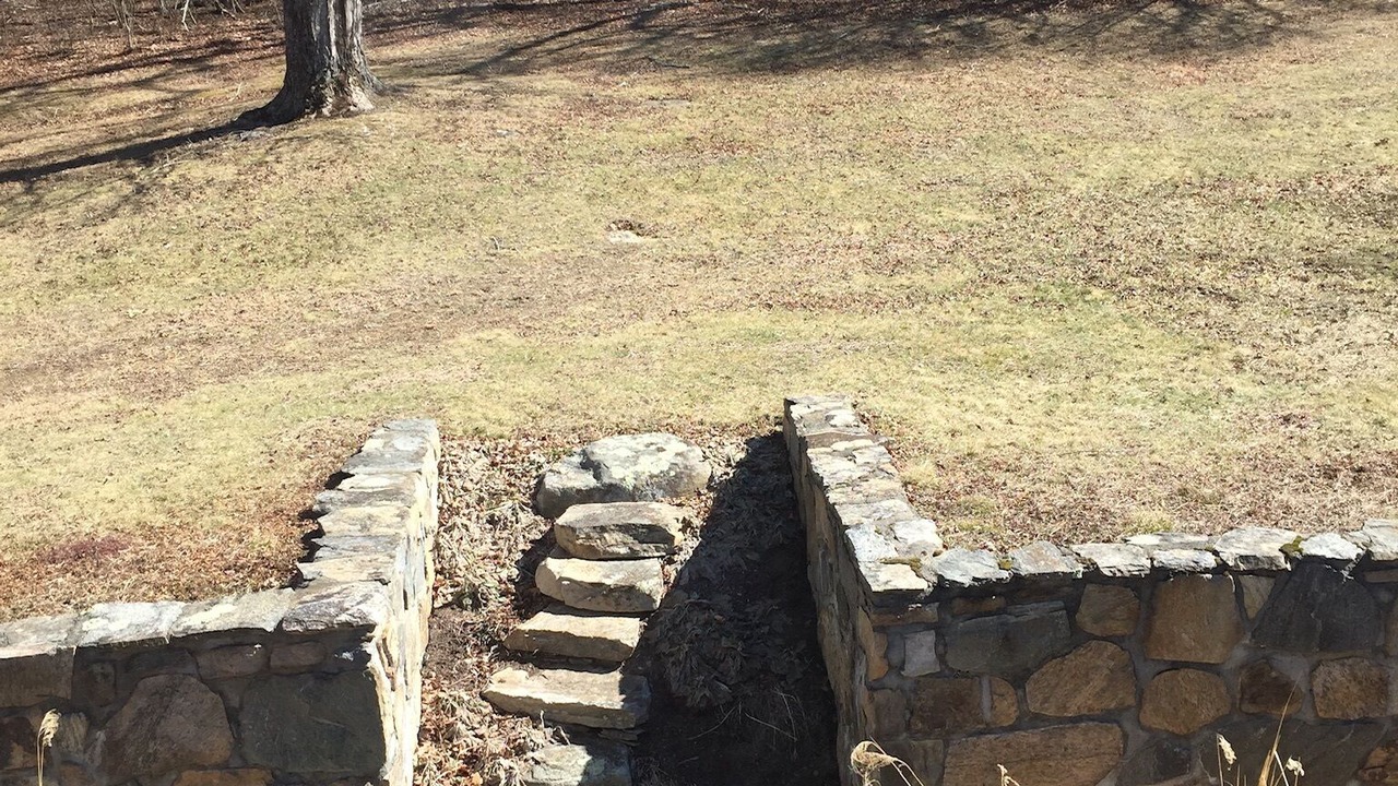 Photo of Outdoor in Lyme