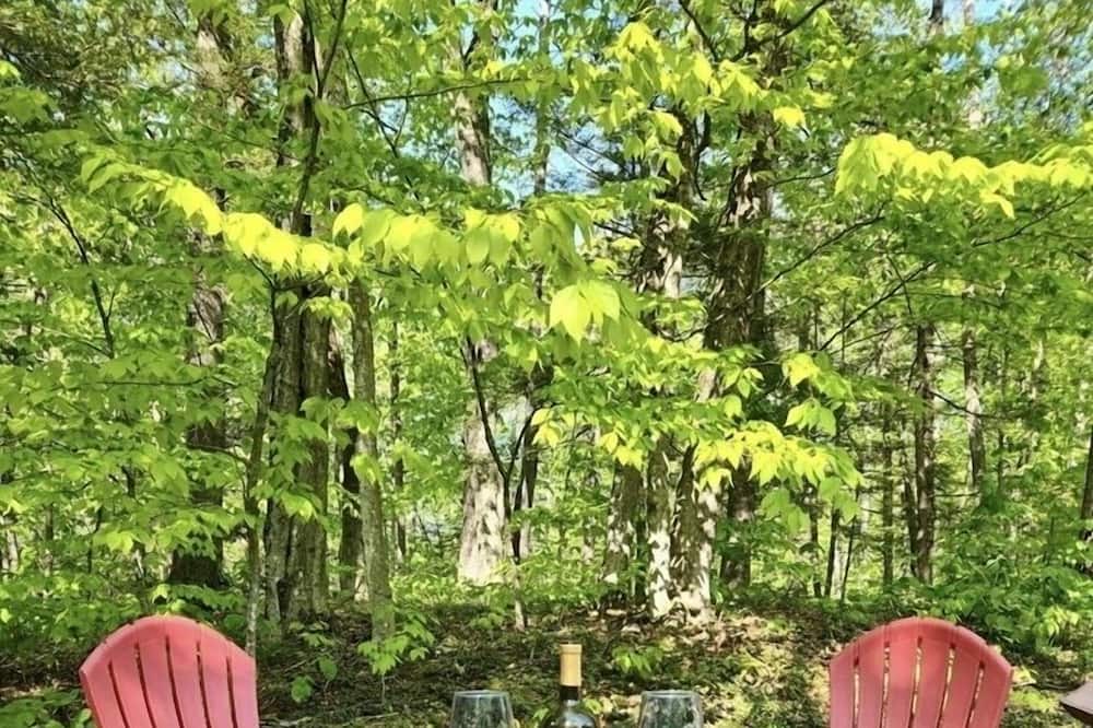 Photo of Outdoor in Birchview by the Saco