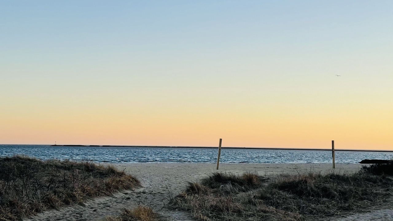 Photo of Others in Hyannis