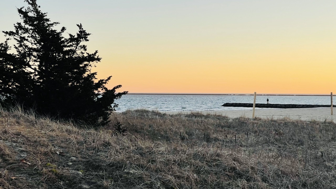 Photo of Others in Hyannis