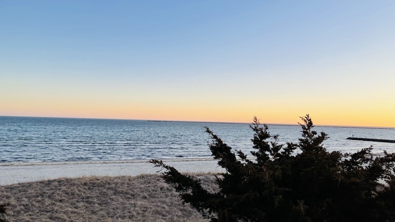 Photo of Others in Hyannis
