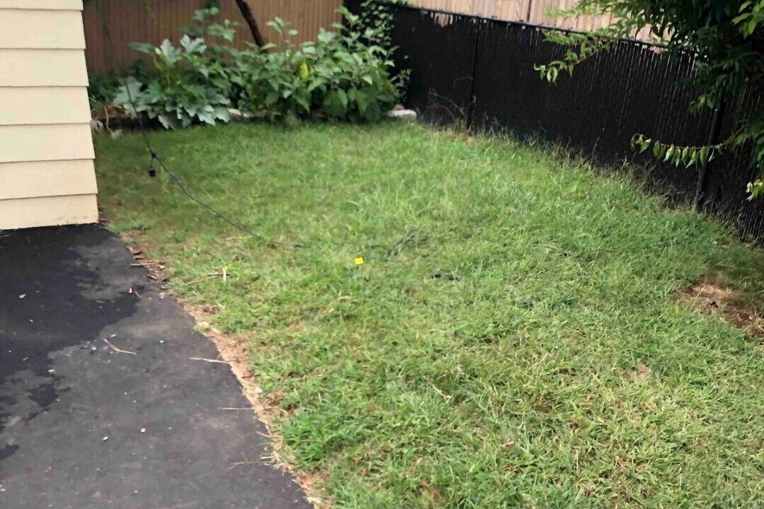 Photo of Outdoor in Momauguin