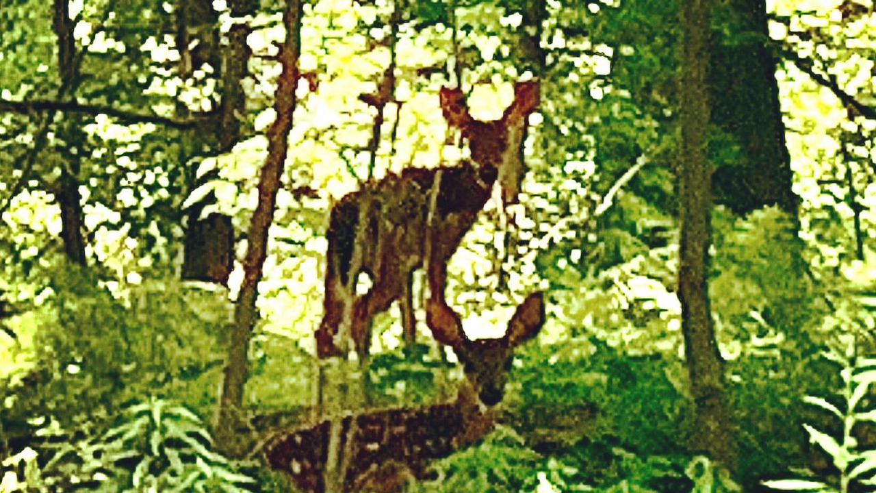 Photo of Outdoor in Montpelier