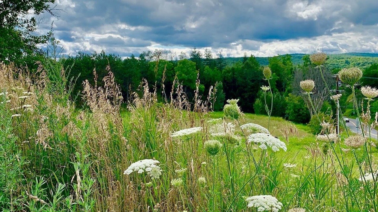 Photo of Outdoor in Montpelier