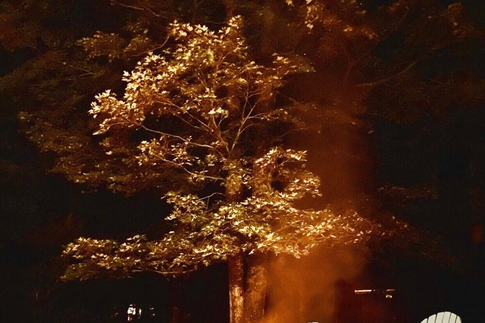 Photo of Outdoor in Wardsboro